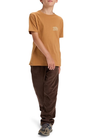 T-shirt en coton biologique - Marron clair - Quiksilver