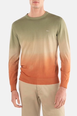Trui - Groen en Oranje - Harmont & Blaine
