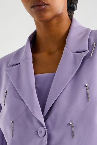 Veste - Mauve