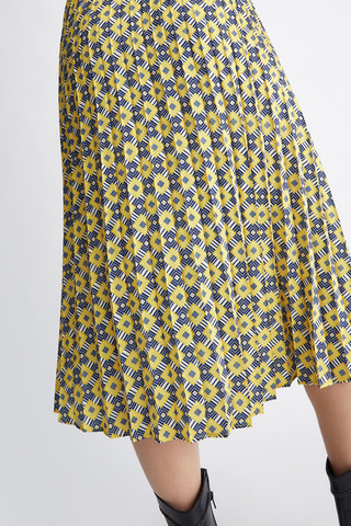 Plissérok met Hoge Taille - Multicolor