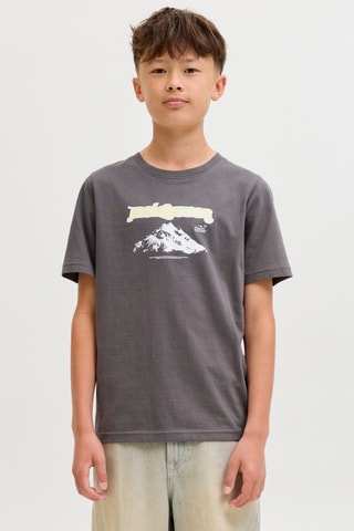 T-shirt en coton biologique - Gris - Jack&Jones