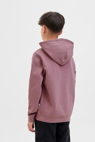 Sweat à capuche - Mauve - Jack&Jones