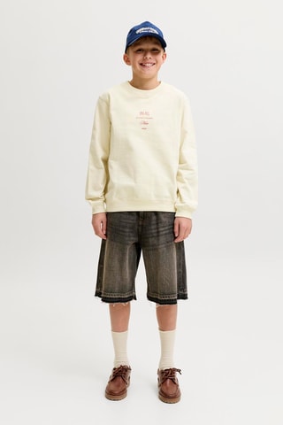 Sweat en coton biologique  - Jack&Jones -  Blanc