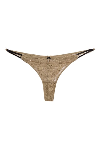Tanga Cosmos - Kaki
