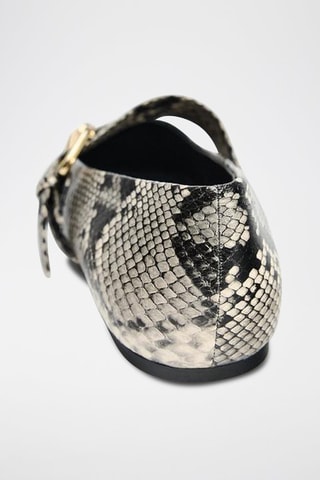Babies - Gris et noir