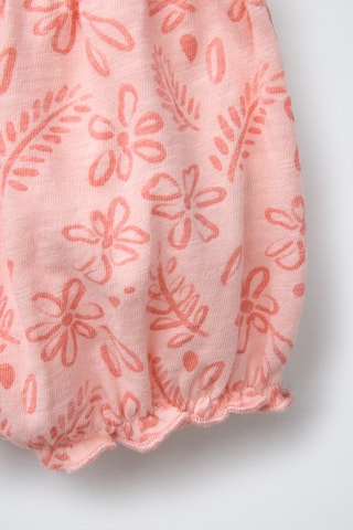 Bloomer - Rose