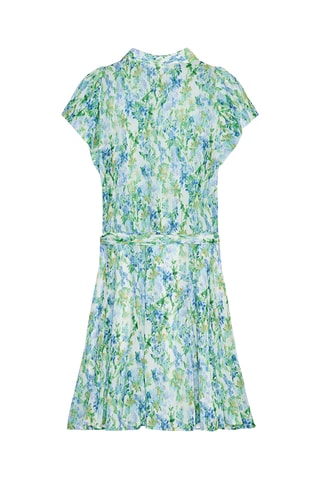 Robe patineuse - Vert