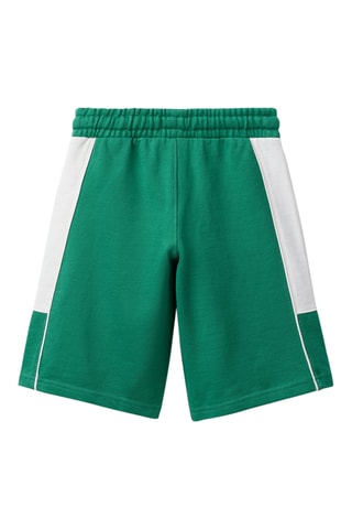 Bermuda - Vert