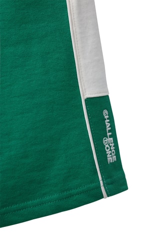 Bermuda - Vert