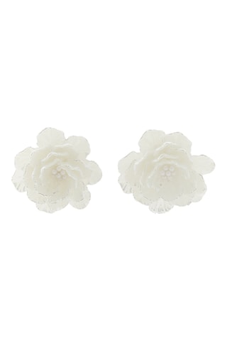 Puces - Blanc