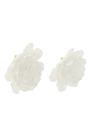 Puces - Blanc