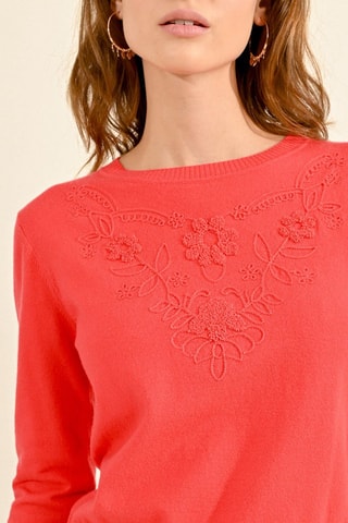 Pull - Corail