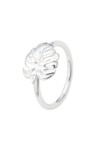 Anillo - Plata