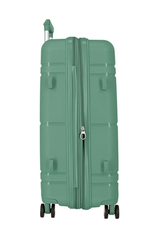 Grote Trolley (L) - 75 cm - Groen