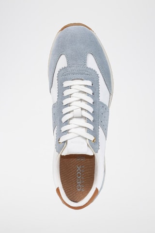 Baskets en cuir D Calithe - Gris et blanc