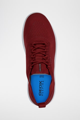 Baskets Spherica - Rouge foncé