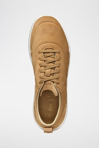 Baskets en cuir de veau nubuck Xtors - Marron