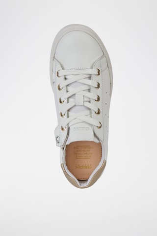 Baskets en cuir Nashik B - Blanc