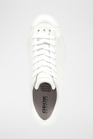 Baskets Warren - Blanc