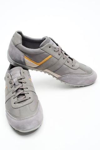 Sneakers - Gris