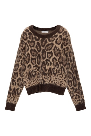 Trui - Beige en Bruin