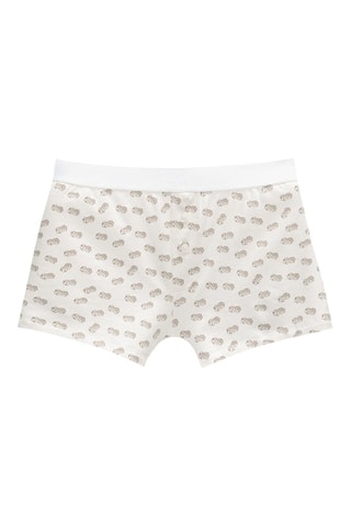 Boxer - Wit