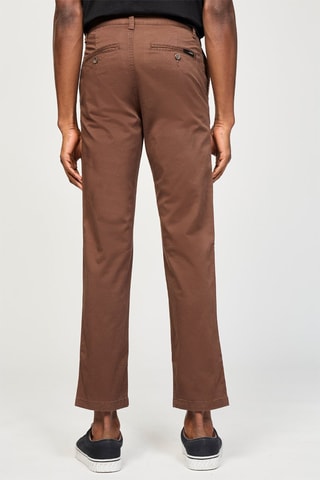 Chino - Bruin