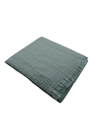 Plaid - Vert