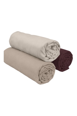 3 draps-housses en coton 57 fils/cm² - Beige et marron