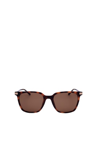 Gafas de sol hombre - Categoría 2 - Calvin Klein - Negro, marrón y dorado