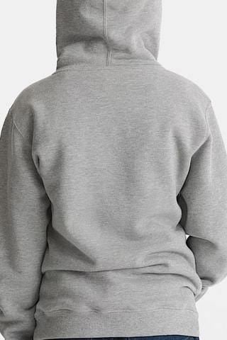 Sweat à capuche - Gris clair