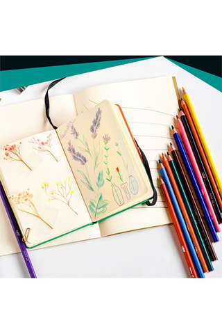 24 crayons de couleur Intensity - Multicolore