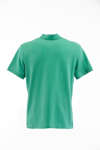 Polo - Verde - Verde