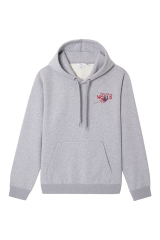 Sweater met Capuchon - Grijs