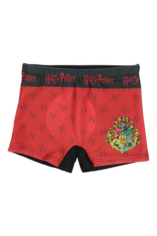 Costume parigamba Harry Potter  - Nero e rosso