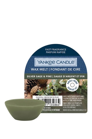 Waxmelt Sauge argent et pin - 29 g