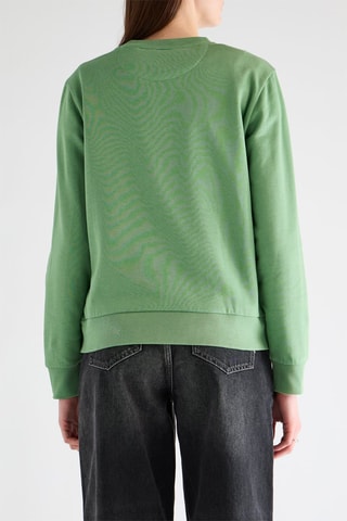 Pull - Vert