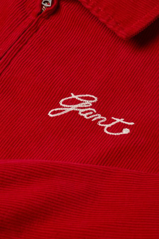 Teddy regular - Rouge