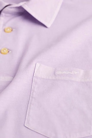 Polo - Mauve