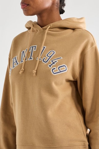 Sweat à capuche - Camel