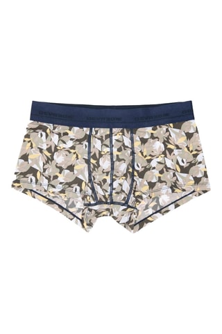 Boxers - Caqui