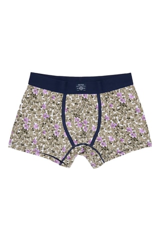Boxers - Caqui