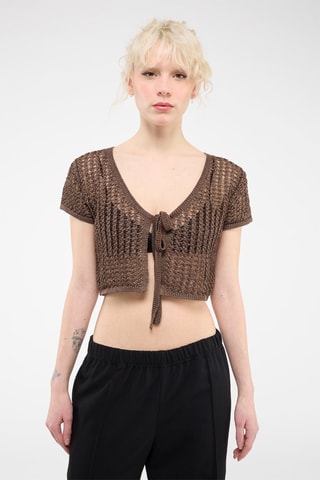 Crop Top Bruin