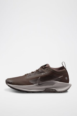 Nike Pegasus Trail 5 GORE-TEX - Marron