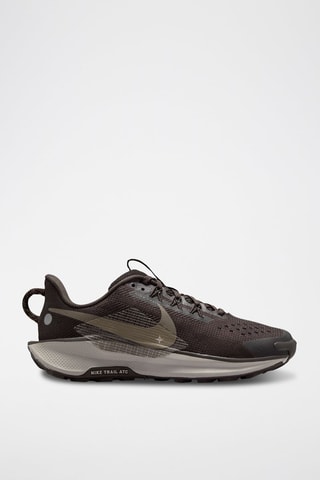 Nike Pegasus Trail 5 - Marron