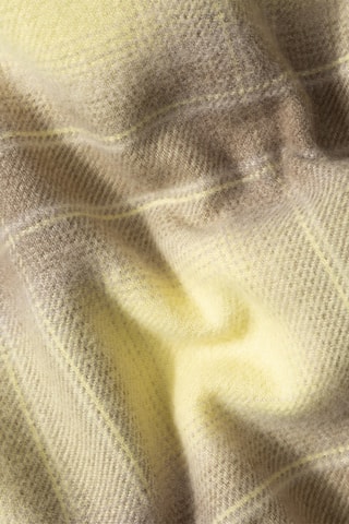 Chemise - Jaune