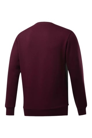 Felpa CL F Linear Crew - Bordeaux