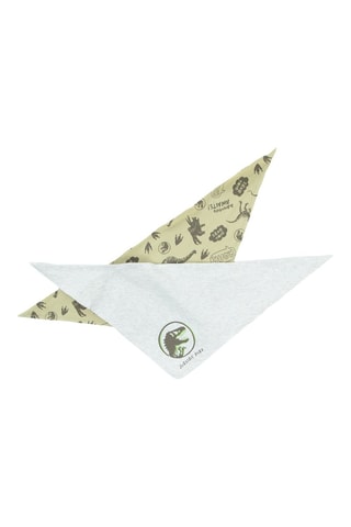 2 foulards The Jurassic World - Vert d’eau et gris