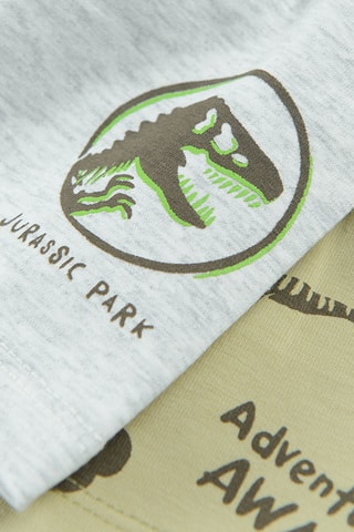 2 bonnets Jurassic Parc Jurassic world – Gris clair et vert