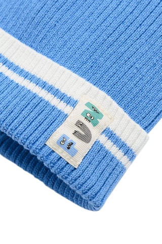 Bonnet Bleu clair